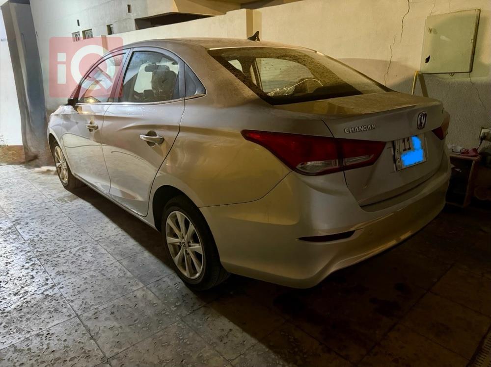 شانجان السفن